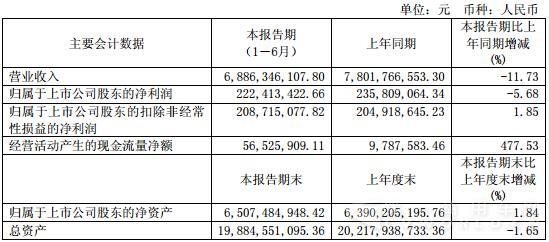東風股份會計數據.jpg